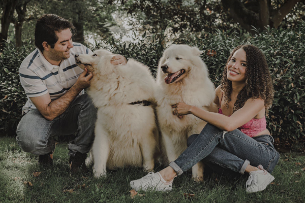 Casal brincando com os seus dois cães no parque